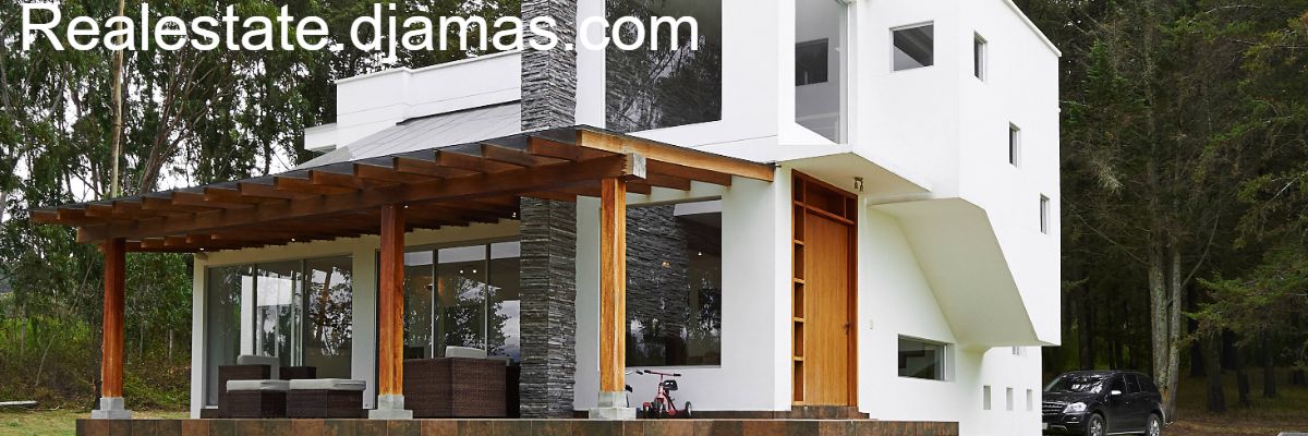 realestate.djamas.com